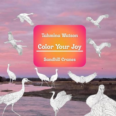 color-your-joy